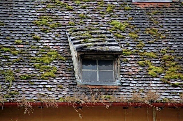 Remove Moss From Your Roof