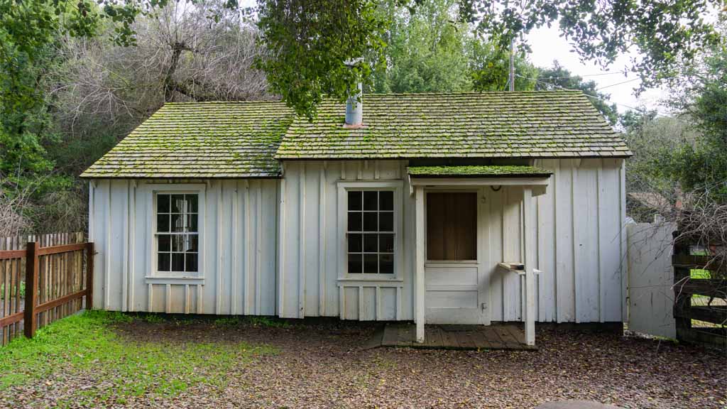 remove and prevent moss on your roof